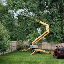 Best Hedge Trimming  in Morton, WA