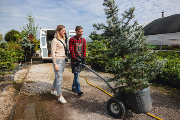 Best Soil Testing and Treatment  in Morton, WA